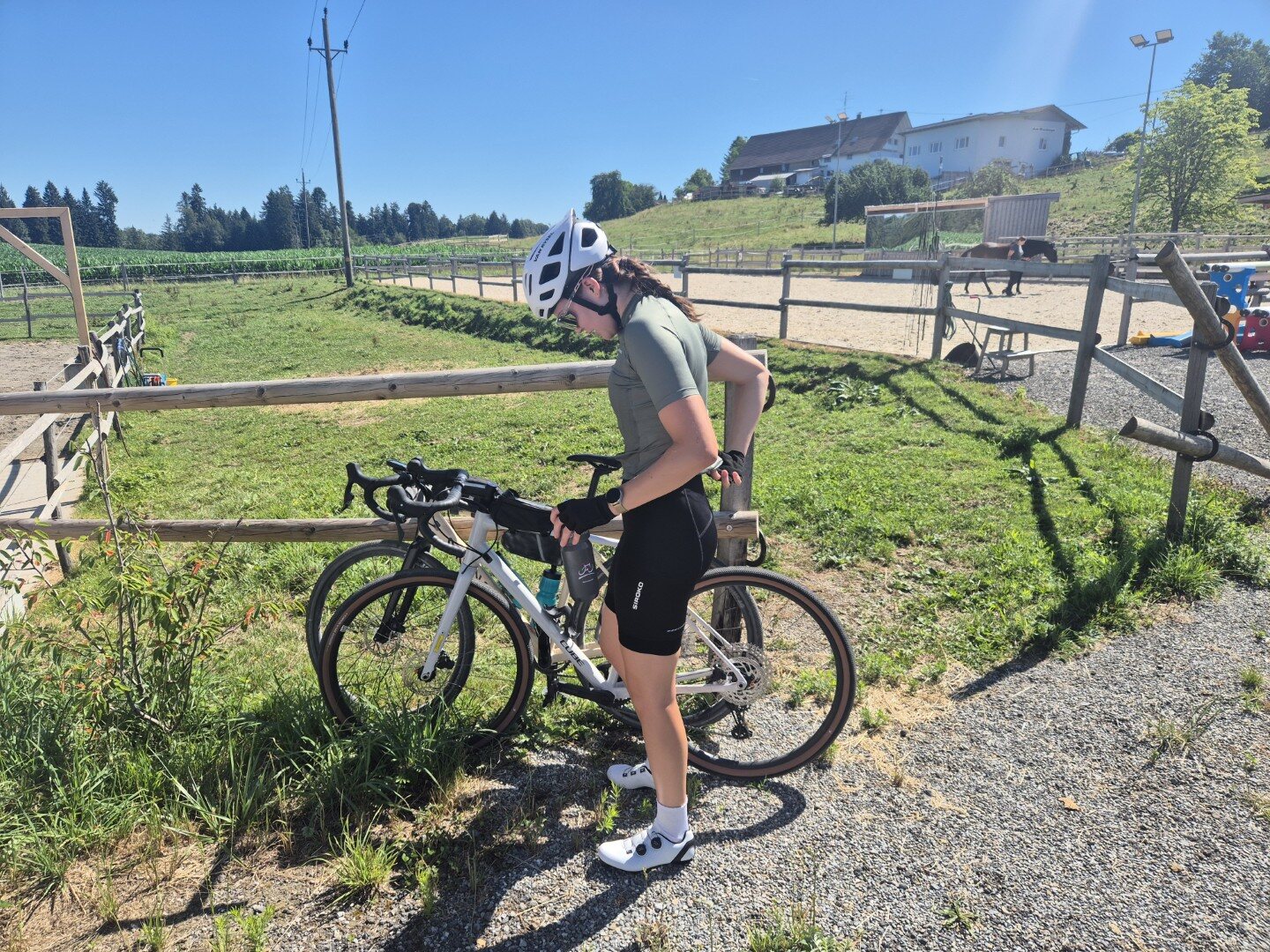 Cyclist pausing beside a rural pasture
